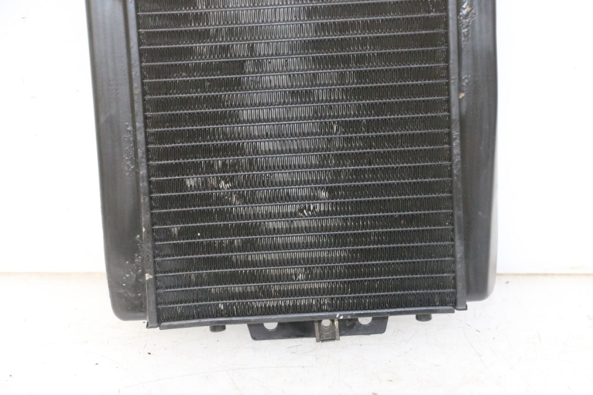 photo de RADIATEUR PIAGGIO MP3 LT 300 (2010 - 2016) - Markeringen en referenties