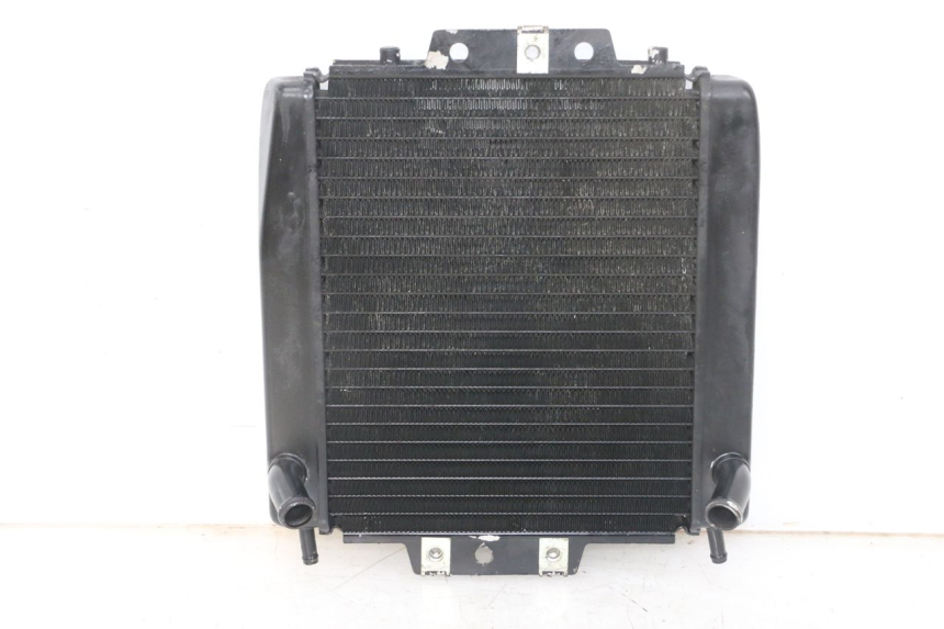 photo de RADIATEUR PIAGGIO MP3 LT 400 (2007 - 2012) - Productaanzicht