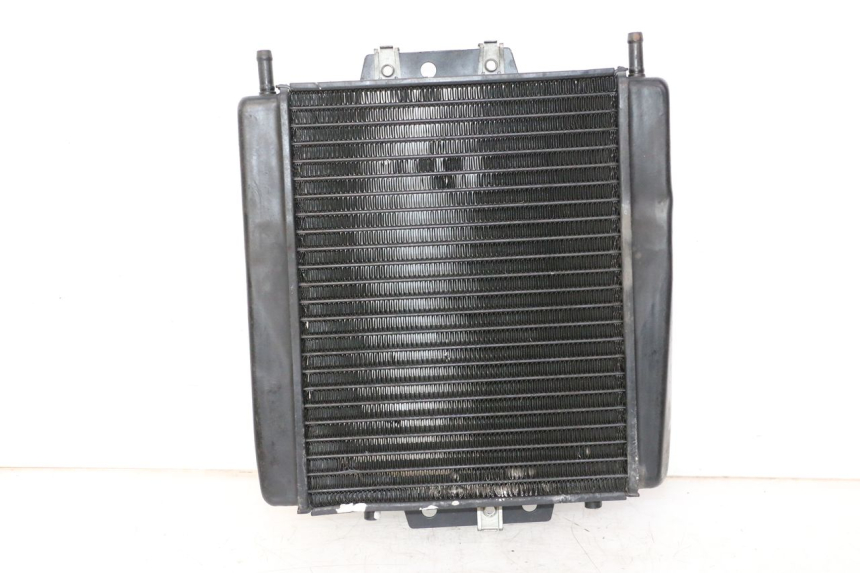 photo de RADIATEUR PIAGGIO MP3 LT 300 (2010 - 2016) - Hoofdaanzicht