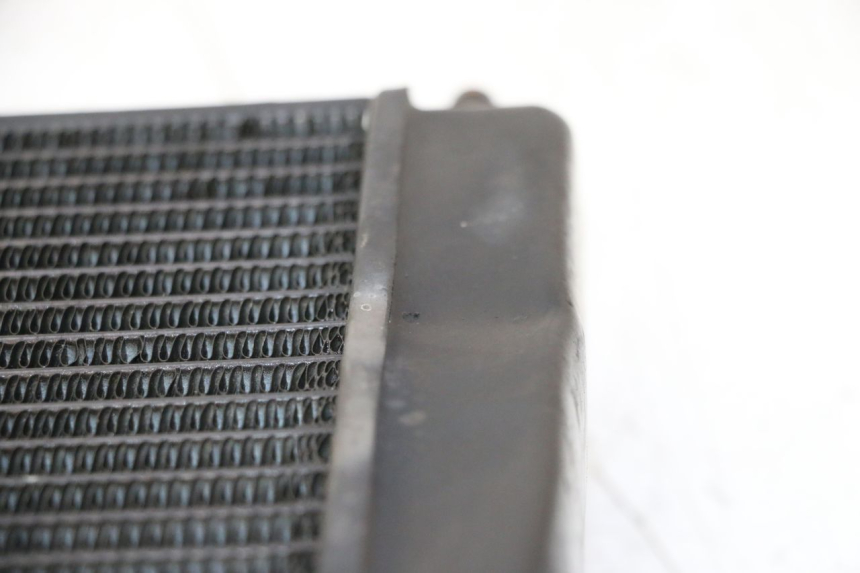 photo de RADIATEUR PIAGGIO MP3 LT 300 (2010 - 2016) - Detail van het onderdeel