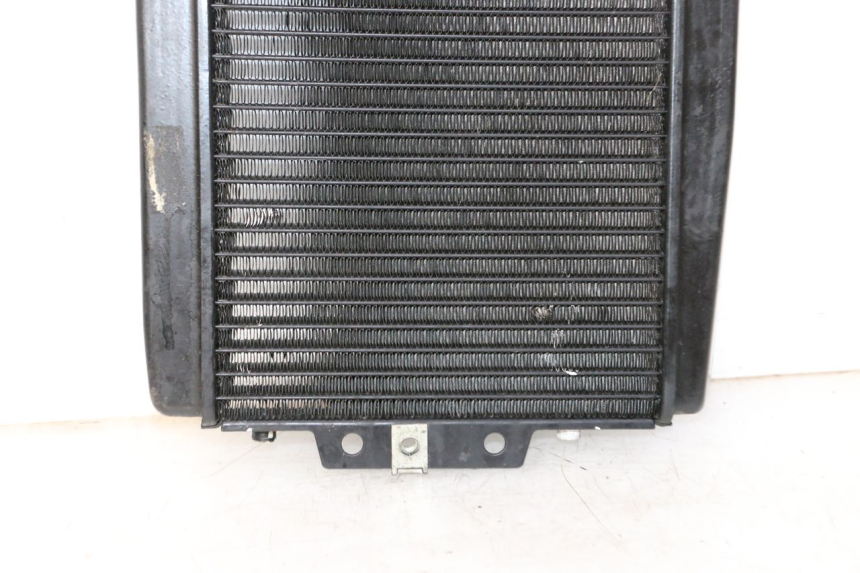 photo de RADIATEUR PIAGGIO MP3 LT 300 (2010 - 2016) - Productaanzicht
