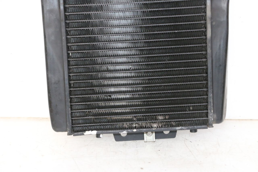 photo de RADIATEUR PIAGGIO MP3 LT 300 (2010 - 2016) - Detailaanzicht