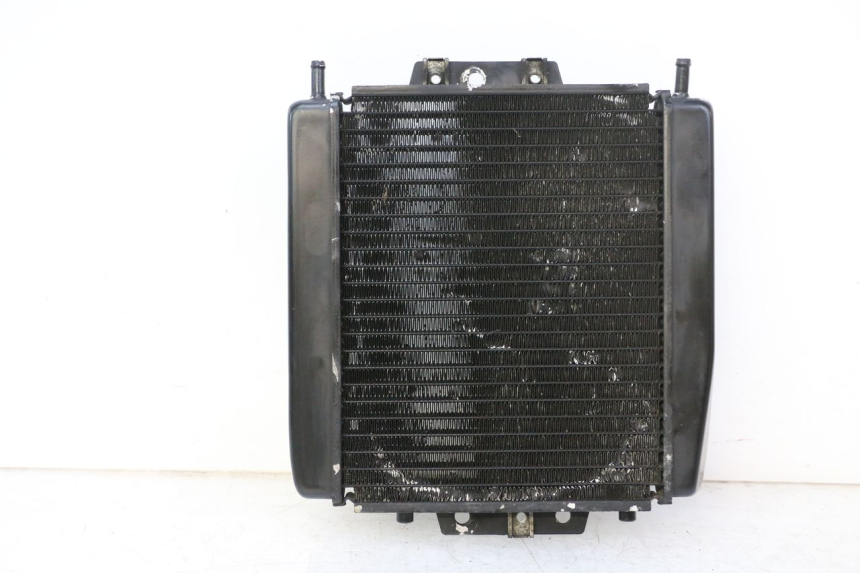 photo de RADIATEUR PIAGGIO MP3 RL 250 (2006 - 2010) - Hoofdaanzicht