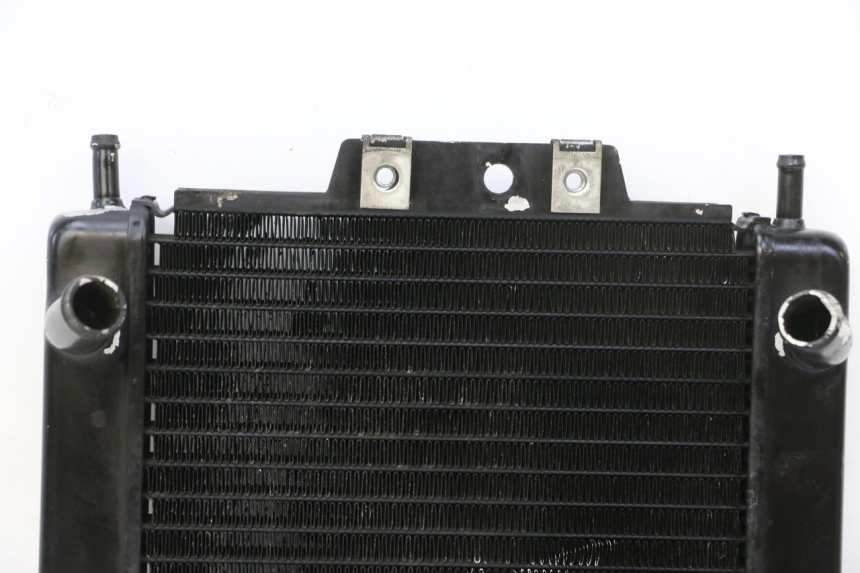 photo de RADIATEUR PIAGGIO MP3 RL 250 (2006 - 2010) - Detailaanzicht