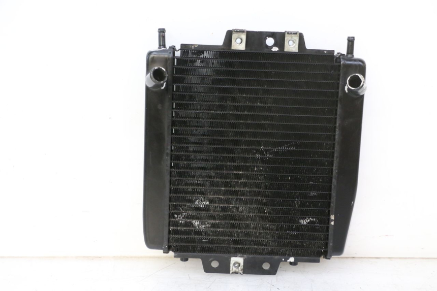 photo de RADIATEUR PIAGGIO MP3 RL 250 (2006 - 2010) - Aanvullende foto