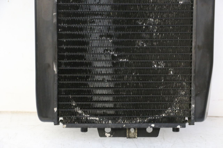 photo de RADIATEUR PIAGGIO MP3 RL 250 (2006 - 2010) - Visuele inspectie