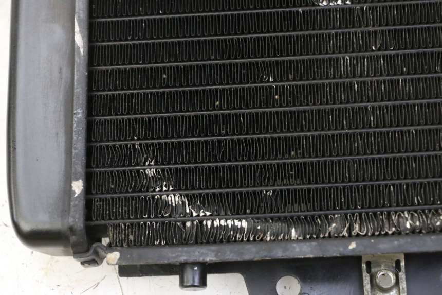 photo de RADIATEUR PIAGGIO MP3 RL 250 (2006 - 2010) - Bevestigingspunten