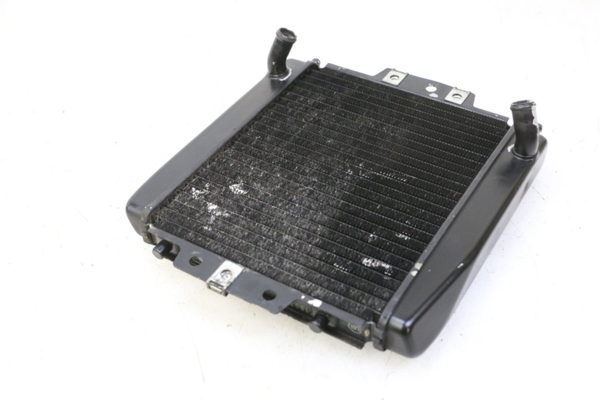 photo de RADIATEUR PIAGGIO MP3 RL 250 (2006 - 2010) - Markeringen en referenties