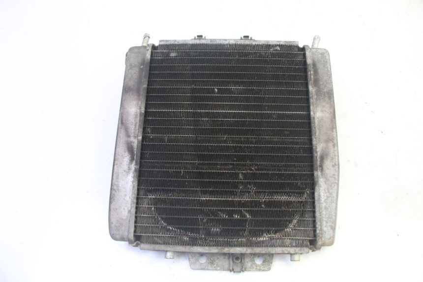 photo de RADIATEUR PIAGGIO MP3 125 (2006 - 2014) - Hoofdaanzicht