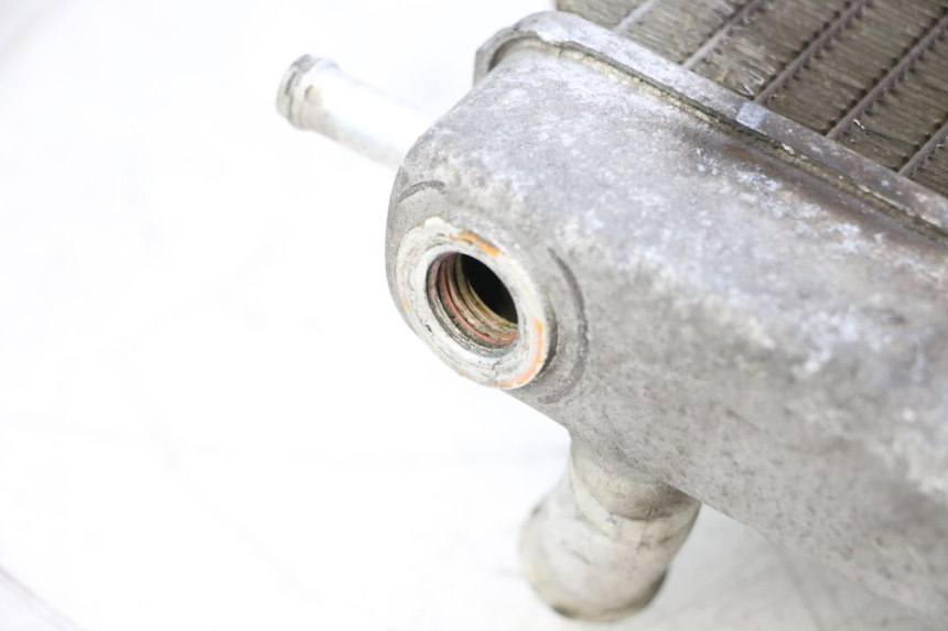 photo de RADIATEUR PIAGGIO MP3 125 (2006 - 2014) - Productaanzicht