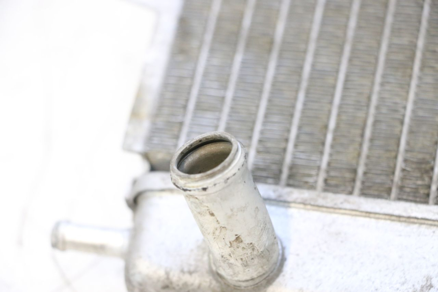 photo de RADIATEUR PIAGGIO MP3 125 (2006 - 2014) - Technische close-up