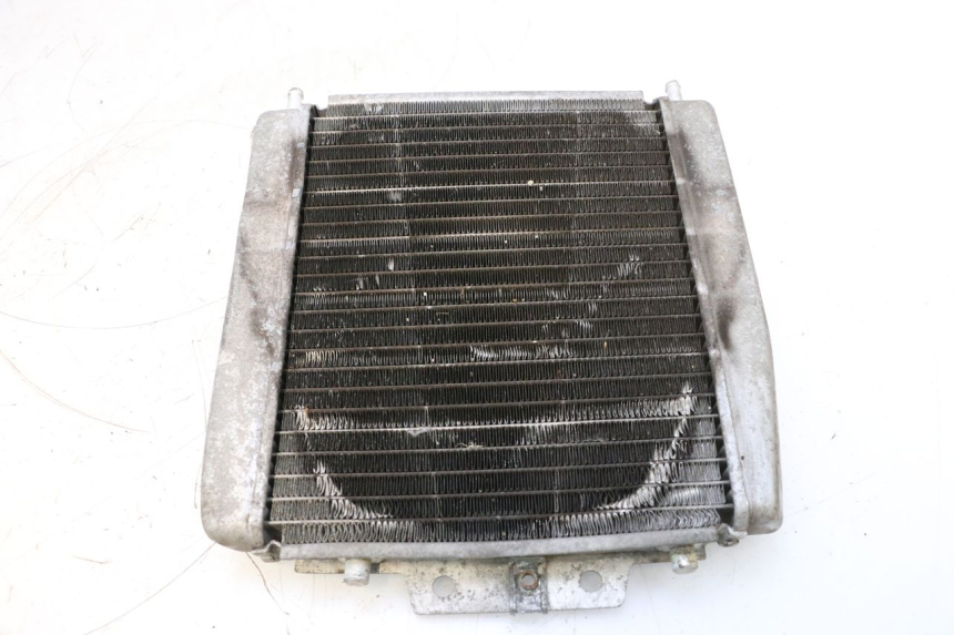 photo de RADIATEUR PIAGGIO MP3 125 (2006 - 2014) - Overzicht