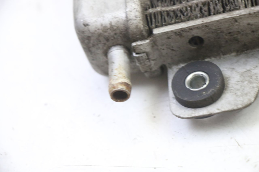 photo de RADIATEUR GILERA NEXUS 125 (2009 - 2013) - Detailaanzicht