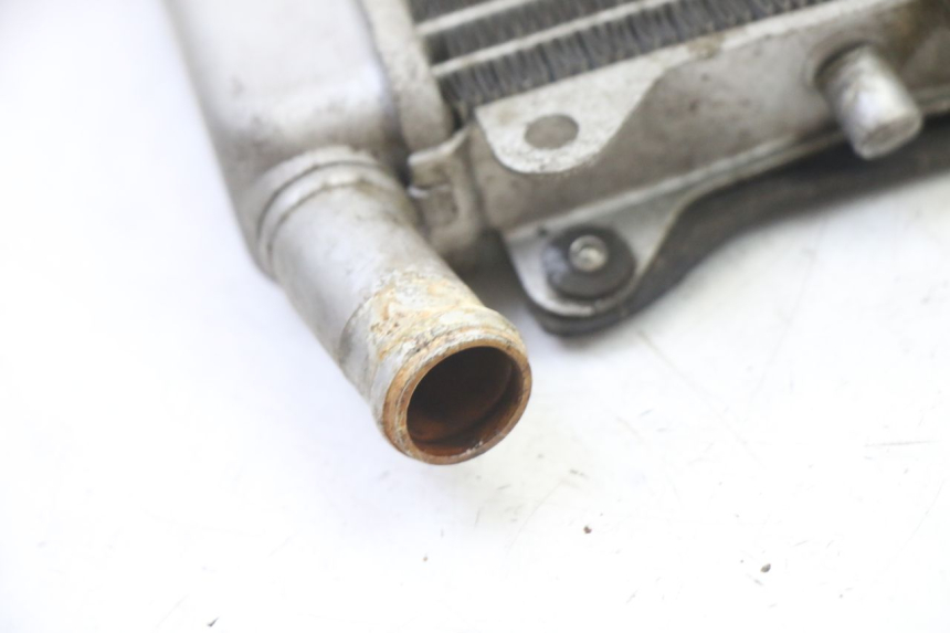 photo de RADIATEUR GILERA NEXUS 125 (2009 - 2013) - Overzicht