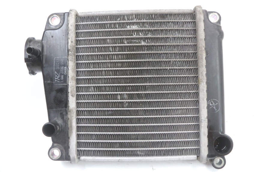photo de RADIATEUR HONDA NHX LEAD 110 (2008 - 2010) - Hoofdaanzicht