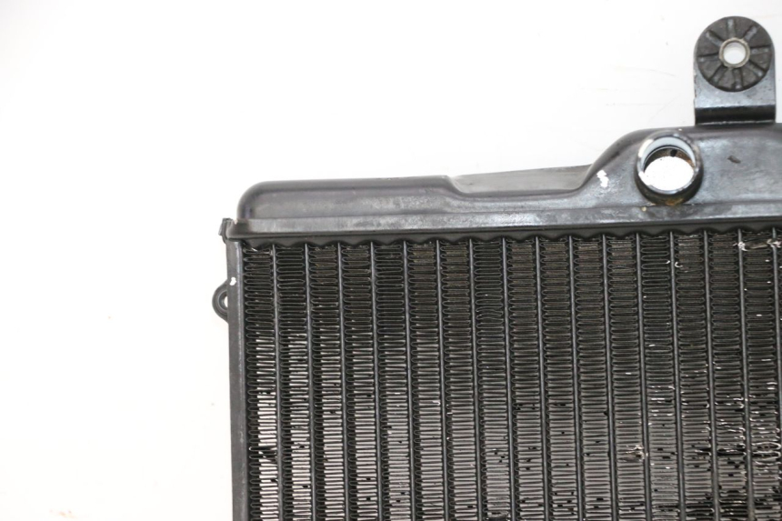 photo de RADIATEUR HONDA NSR R 125 (1994 - 2003) - Markeringen en referenties