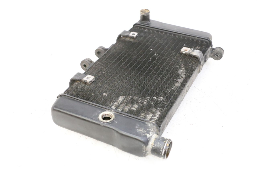 photo de RADIATEUR HONDA NTV DEAUVILLE 650 (2001 - 2006) - Technische close-up