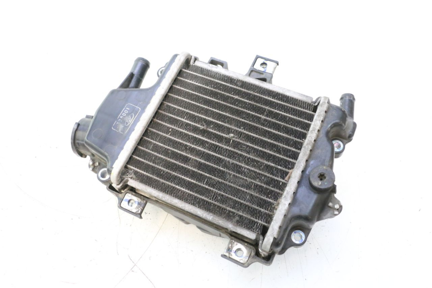 photo de RADIATEUR HONDA PCX (JF28) 125 (2009 - 2011) - Hoofdaanzicht