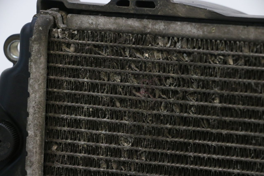 photo de RADIATEUR HONDA PCX (JF57/JF64) 125 (2014 - 2018) - Kenmerkende details