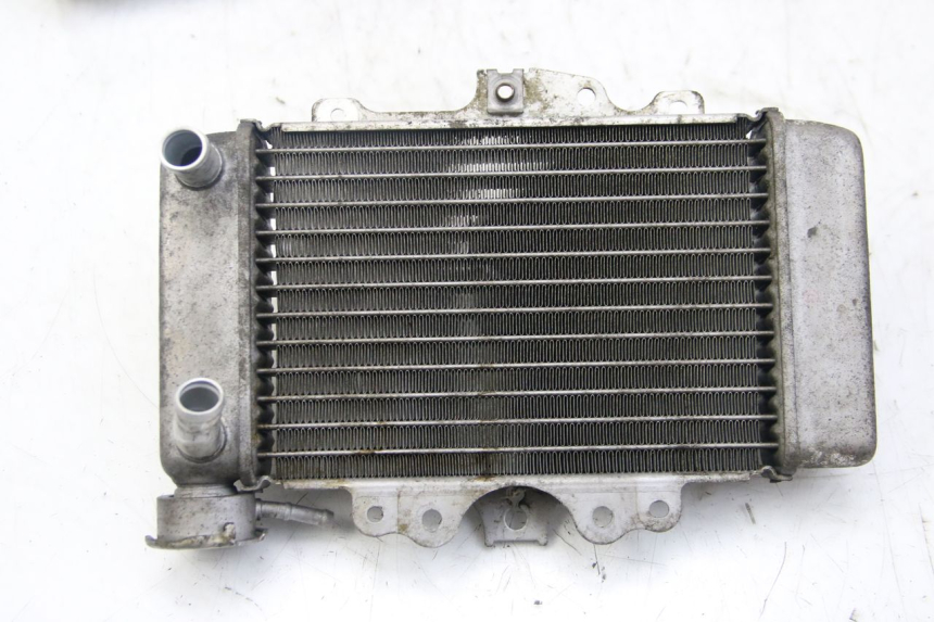photo de RADIATEUR HONDA PES PS I 125 (2006 - 2012) - Hoofdaanzicht