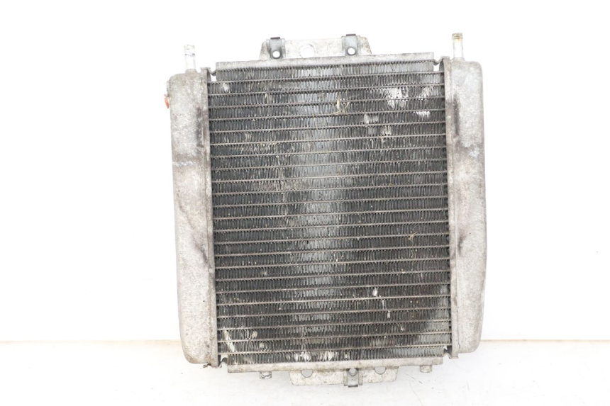 photo de RADIATEUR PIAGGIO MP3 125 (2006 - 2014) - Hoofdaanzicht