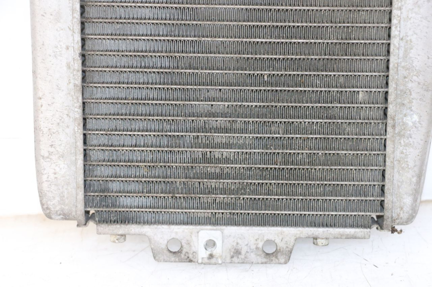 photo de RADIATEUR PIAGGIO MP3 125 (2006 - 2014) - Technische close-up