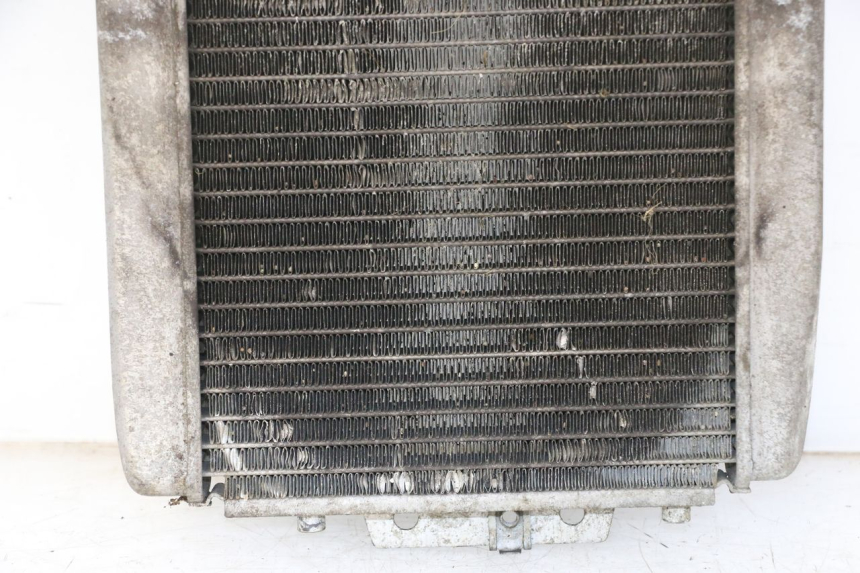 photo de RADIATEUR PIAGGIO MP3 125 (2006 - 2014) - Staat van het oppervlak