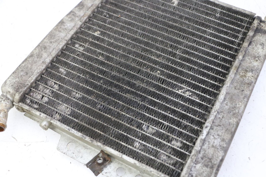 photo de RADIATEUR PIAGGIO X8 125 (2004 - 2007) - Detail van het onderdeel