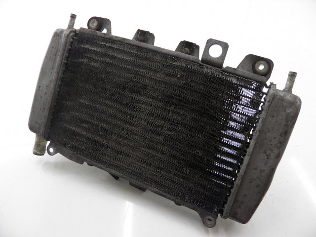 photo de RADIATEUR PIAGGIO X9 EVOLUTION 125 (2003 - 2007) - Hoofdaanzicht