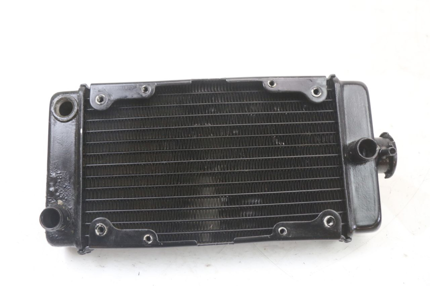 photo de RADIATEUR REGAL RAPTOR SPYDER 125 (2010 - 2018) - Hoofdaanzicht