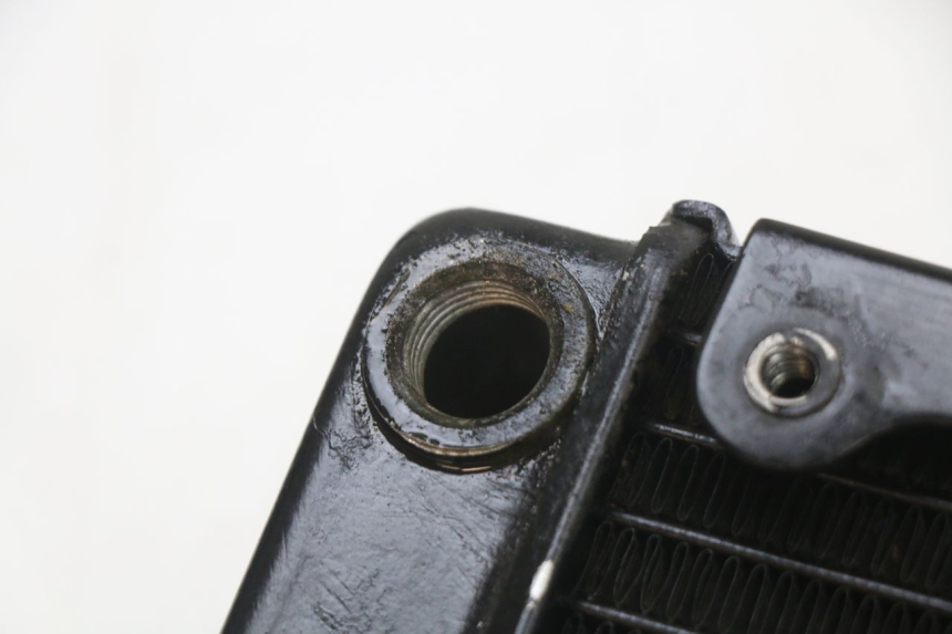 photo de RADIATEUR REGAL RAPTOR SPYDER 125 (2010 - 2018) - Detail van het onderdeel