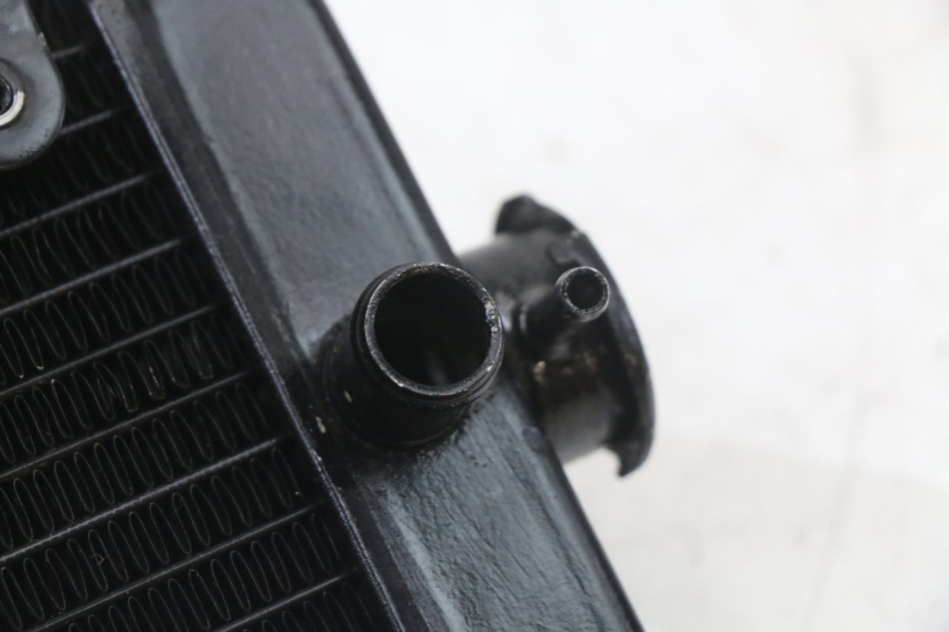 photo de RADIATEUR REGAL RAPTOR SPYDER 125 (2010 - 2018) - Andere kijkhoek
