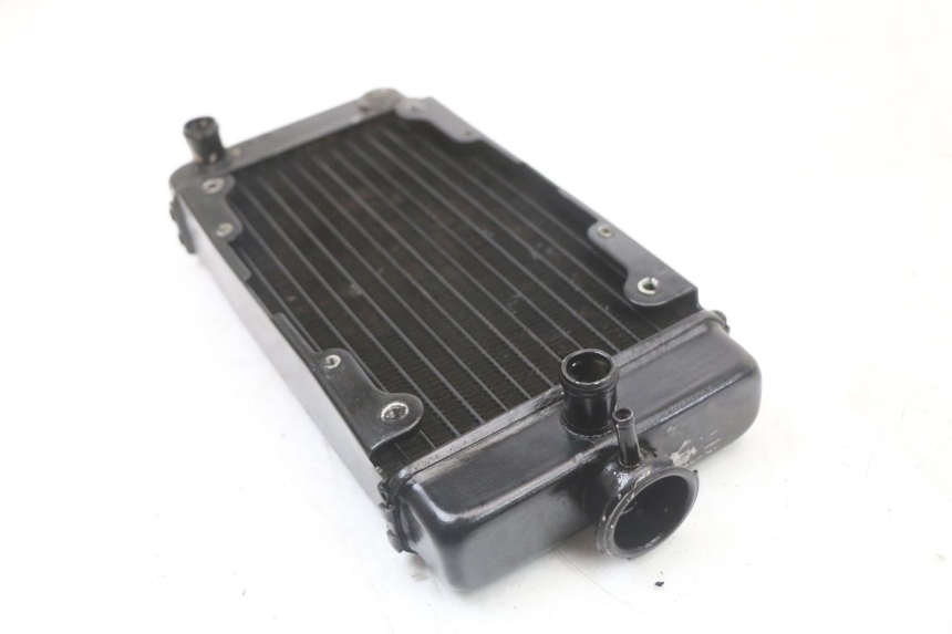 photo de RADIATEUR REGAL RAPTOR SPYDER 125 (2010 - 2018) - Technische close-up