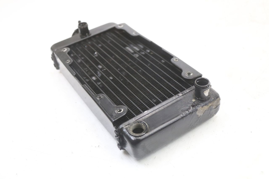 photo de RADIATEUR REGAL RAPTOR SPYDER 125 (2010 - 2018) - Gecontroleerd onderdeel