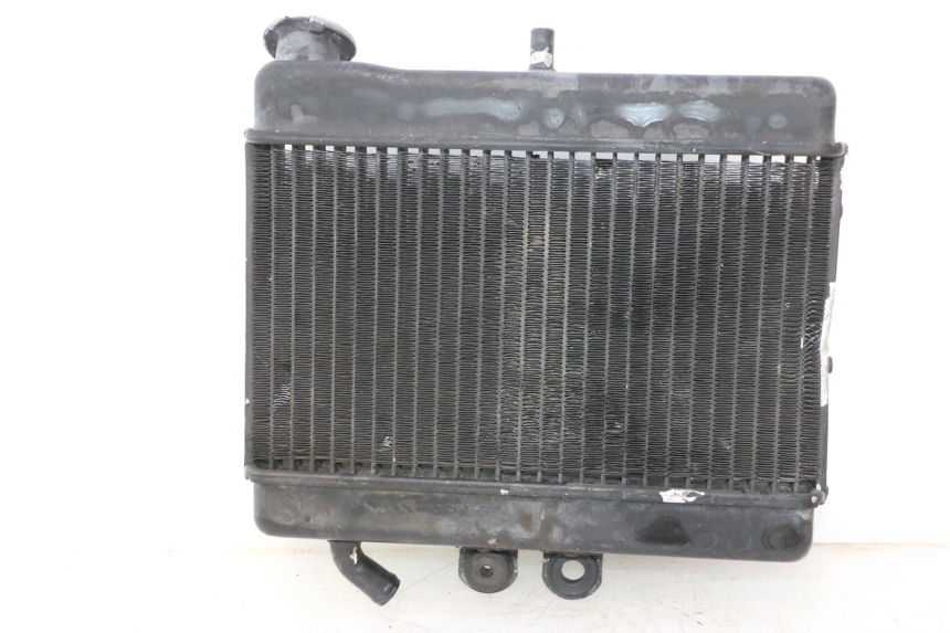 photo de RADIATEUR MZ RT 125 (2000 - 2008) - Kenmerkende details