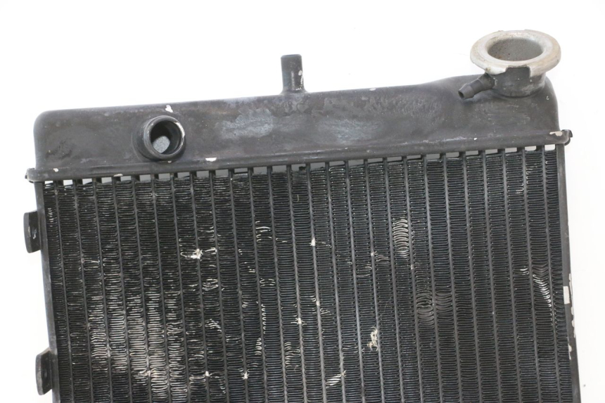 photo de RADIATEUR MZ RT 125 (2000 - 2008) - Zoom op componenten