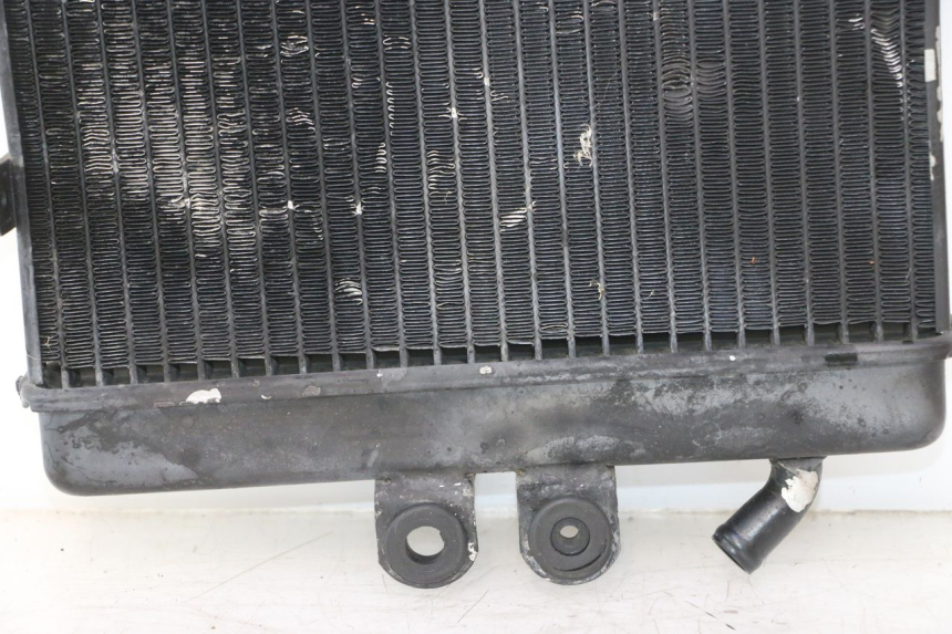 photo de RADIATEUR MZ RT 125 (2000 - 2008) - Detailaanzicht