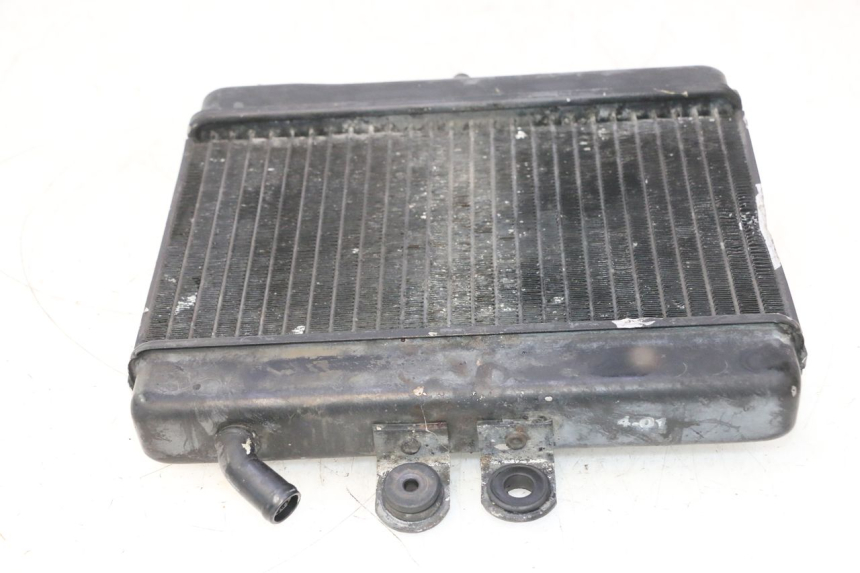 photo de RADIATEUR MZ RT 125 (2000 - 2008) - Technische close-up