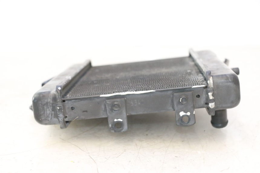 photo de RADIATEUR MZ RT 125 (2000 - 2008) - Overzicht