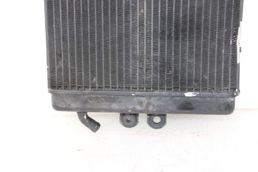 photo de RADIATEUR MZ RT 125 (2000 - 2008) - Gecontroleerd onderdeel