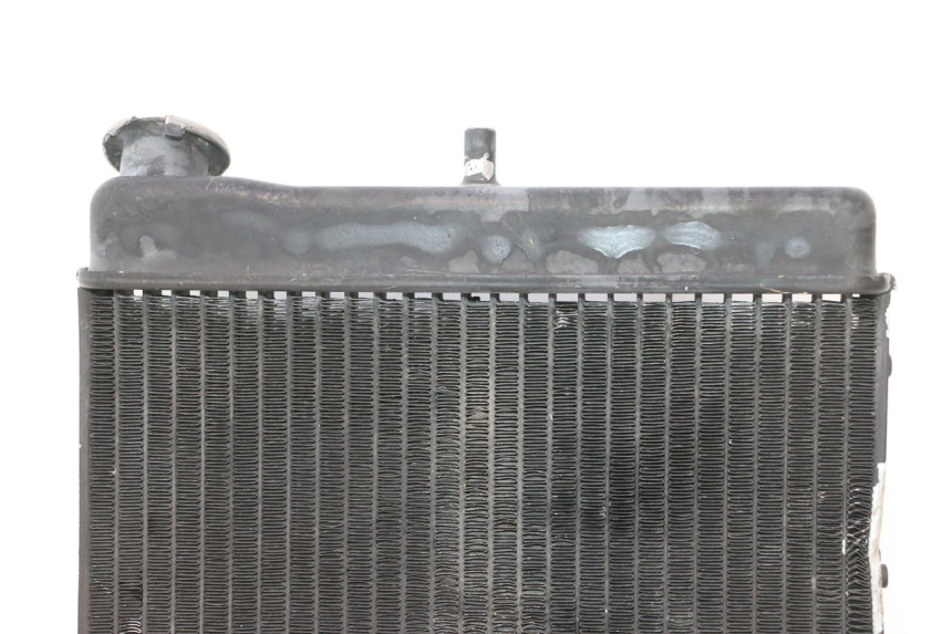 photo de RADIATEUR MZ RT 125 (2000 - 2008) - Markeringen en referenties