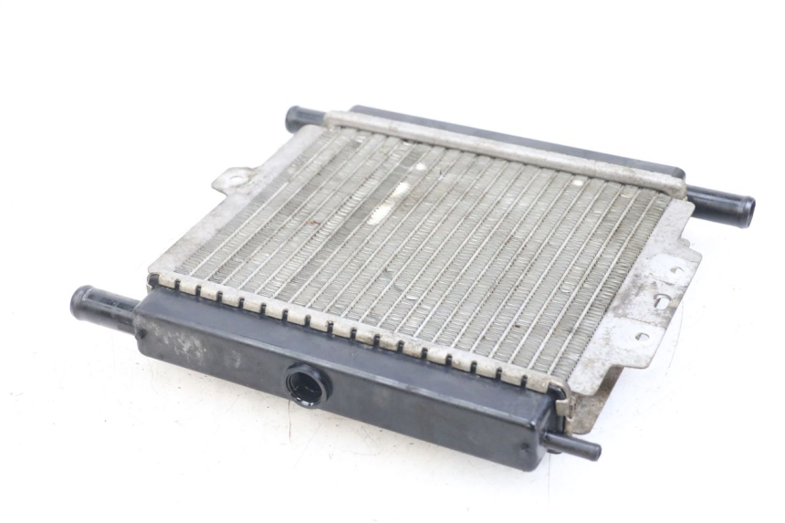 photo de RADIATEUR PEUGEOT SATELIS 125 (2006 - 2009) - Zoom op gebruiksstaat