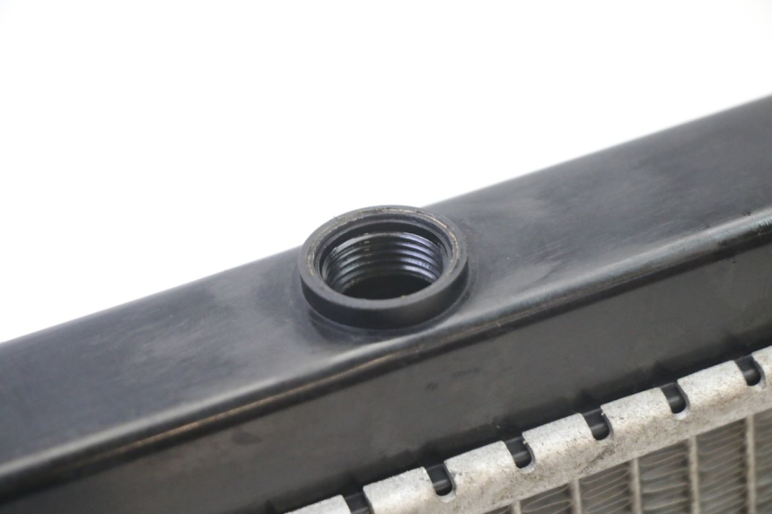 photo de RADIATEUR PEUGEOT SATELIS 125 (2013 - 2018) - Staat van het oppervlak