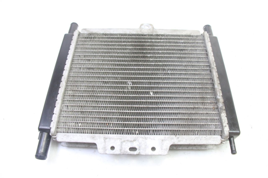 photo de RADIATEUR PEUGEOT SATELIS 250 (2006 - 2012) - Overzicht