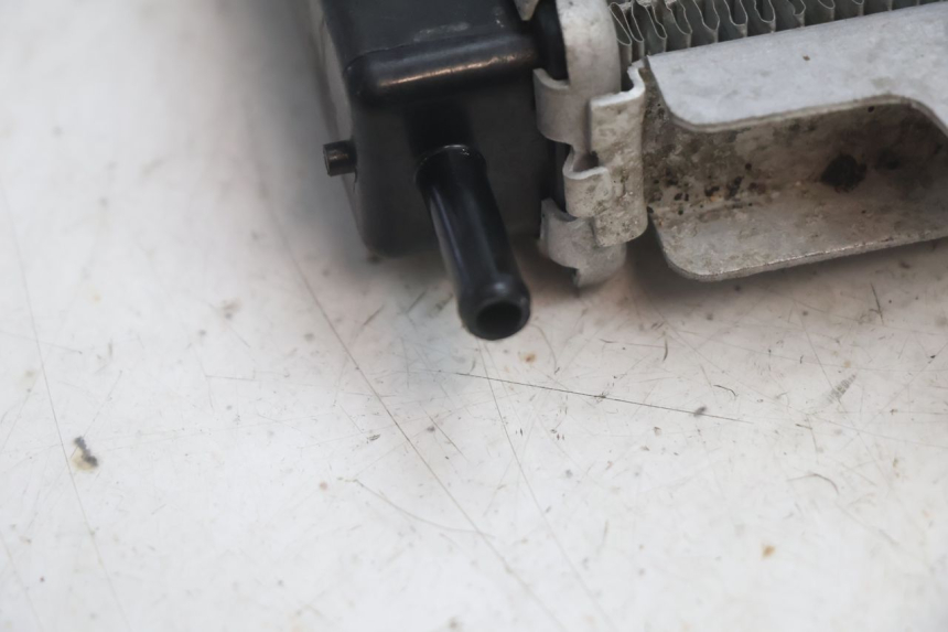 photo de RADIATEUR PEUGEOT SATELIS 125 (2013 - 2018) - Kenmerkende details
