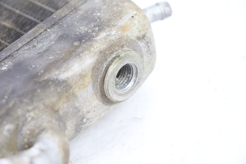 photo de RADIATEUR APRILIA SCARABEO GT 125 (1999 - 2007) - Overzicht