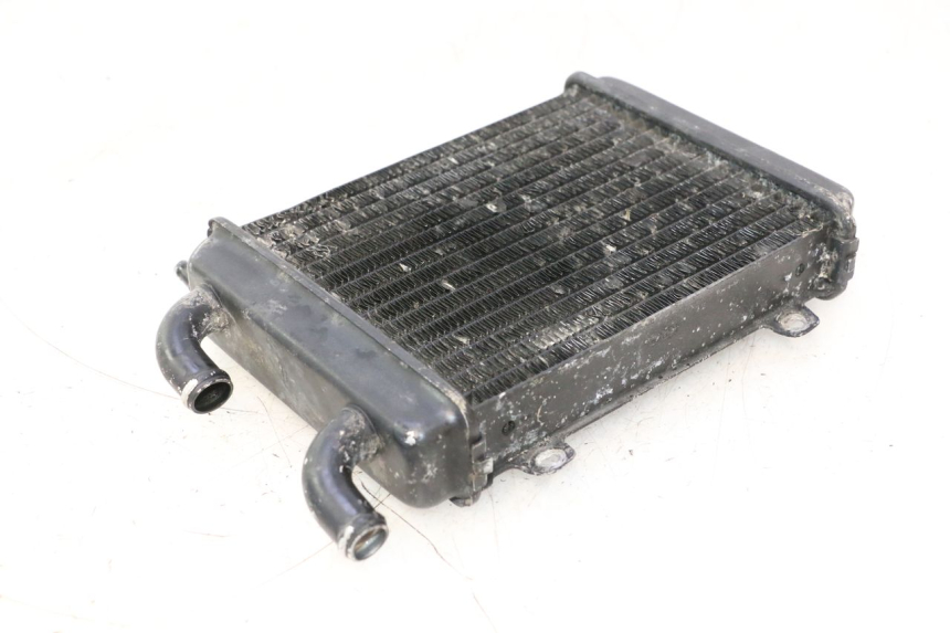 photo de RADIATEUR PEUGEOT SPEEDFIGHT LC 50 (1996 - 2002) - Zoom op gebruiksstaat