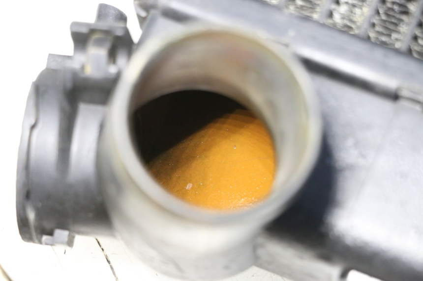 photo de RADIATEUR TRIUMPH SPRINT 900 (1995 - 1998) - Zoom op gebruiksstaat