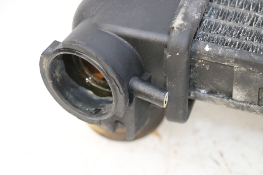 photo de RADIATEUR TRIUMPH SPRINT 900 (1995 - 1998) - Bevestigingspunten