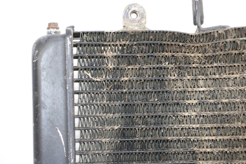 photo de RADIATEUR KTM SUPERENDURO R 950 (2005 - 2009) - Focus op structuur